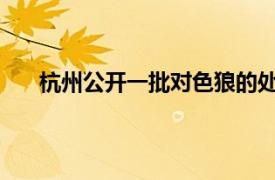 杭州公开一批对色狼的处罚结果具体详细内容是什么