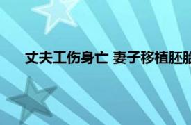 丈夫工伤身亡 妻子移植胚胎产下男婴具体详细内容是什么