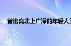 曾逃离北上广深的年轻人又回来了具体详细内容是什么