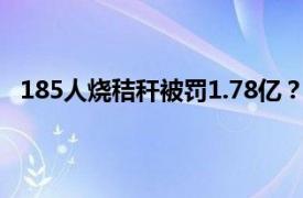 185人烧秸秆被罚1.78亿？官方回应具体详细内容是什么