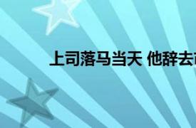 上司落马当天 他辞去市长具体详细内容是什么