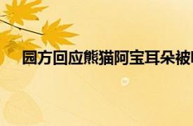 园方回应熊猫阿宝耳朵被咬成V形具体详细内容是什么