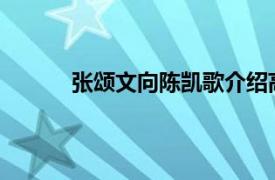 张颂文向陈凯歌介绍高叶具体详细内容是什么