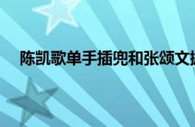 陈凯歌单手插兜和张颂文握手被骂具体详细内容是什么