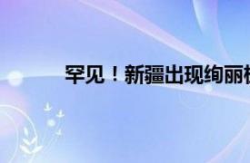 罕见！新疆出现绚丽极光具体详细内容是什么