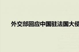 外交部回应中国驻法国大使相关言论具体详细内容是什么