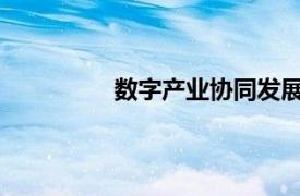 数字产业协同发展具体详细内容是什么