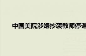 中国美院涉嫌抄袭教师停课接受调查具体详细内容是什么