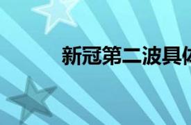 新冠第二波具体详细内容是什么