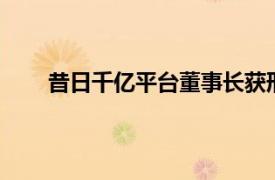 昔日千亿平台董事长获刑20年具体详细内容是什么