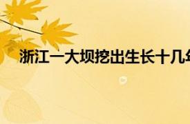 浙江一大坝挖出生长十几年白蚁后具体详细内容是什么