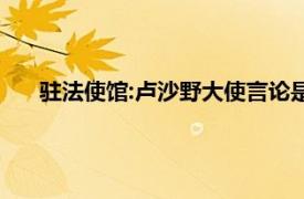 驻法使馆:卢沙野大使言论是个人观点具体详细内容是什么