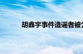 胡鑫宇事件造谣者被公诉具体详细内容是什么