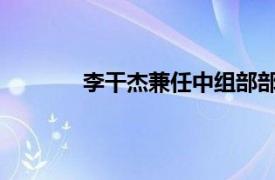 李干杰兼任中组部部长具体详细内容是什么