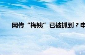 网传“梅姨”已被抓到？申军良回应具体详细内容是什么