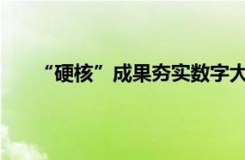 “硬核”成果夯实数字大厦底座具体详细内容是什么