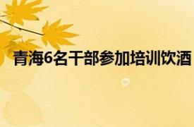 青海6名干部参加培训饮酒 有人死亡具体详细内容是什么