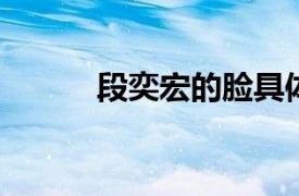 段奕宏的脸具体详细内容是什么