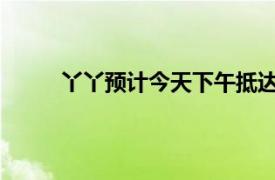 丫丫预计今天下午抵达上海具体详细内容是什么