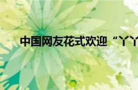 中国网友花式欢迎“丫丫”回家具体详细内容是什么