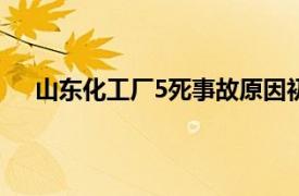 山东化工厂5死事故原因初步查明具体详细内容是什么