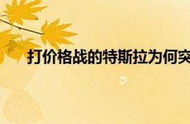 打价格战的特斯拉为何突然涨价具体详细内容是什么