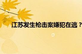 江苏发生枪击案嫌犯在逃？警方回应具体详细内容是什么