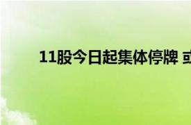 11股今日起集体停牌 或退市具体详细内容是什么