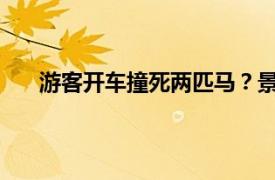 游客开车撞死两匹马？景区回应具体详细内容是什么