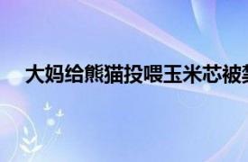 大妈给熊猫投喂玉米芯被禁止参观具体详细内容是什么