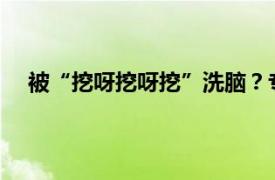 被“挖呀挖呀挖”洗脑？专家分析具体详细内容是什么