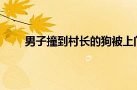 男子撞到村长的狗被上门殴打具体详细内容是什么