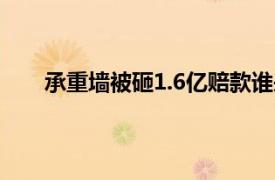 承重墙被砸1.6亿赔款谁来出？具体详细内容是什么