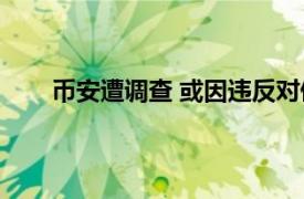 币安遭调查 或因违反对俄制裁具体详细内容是什么