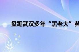 盘踞武汉多年“黑老大”黄大发落网具体详细内容是什么