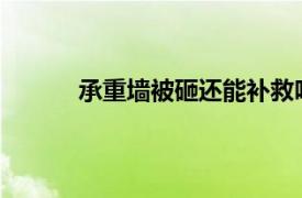 承重墙被砸还能补救吗？具体详细内容是什么