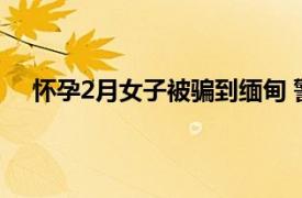 怀孕2月女子被骗到缅甸 警方介入具体详细内容是什么