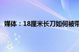 媒体：18厘米长刀如何被带上了车？具体详细内容是什么