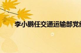 李小鹏任交通运输部党组书记具体详细内容是什么