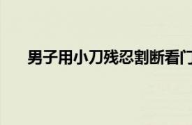 男子用小刀残忍割断看门猫尾巴具体详细内容是什么