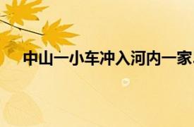 中山一小车冲入河内一家5口身亡具体详细内容是什么