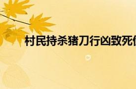 村民持杀猪刀行凶致死伤被抓具体详细内容是什么