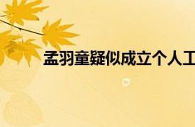 孟羽童疑似成立个人工作室具体详细内容是什么