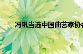 冯巩当选中国曲艺家协会主席具体详细内容是什么