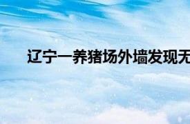 辽宁一养猪场外墙发现无名女尸具体详细内容是什么