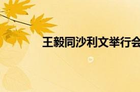 王毅同沙利文举行会晤具体详细内容是什么