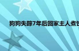 狗狗失踪7年后回家主人煮饺子庆团圆具体详细内容是什么