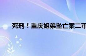 死刑！重庆姐弟坠亡案二审维持原判具体详细内容是什么