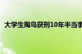 大学生掏鸟获刑10年半当事人将出狱具体详细内容是什么