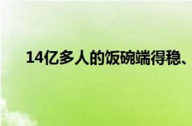 14亿多人的饭碗端得稳、端得牢具体详细内容是什么